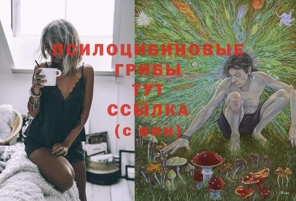 трава Алзамай