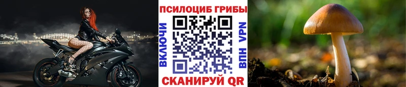 Галлюциногенные грибы мицелий  мега tor  Заволжск 